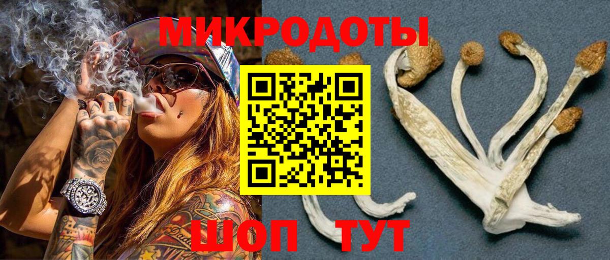 Галлюциногенные грибы Psilocybe  Вход с VPN  Отрадный 